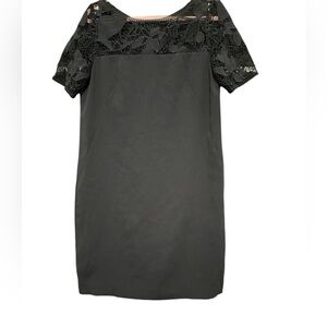 Ann Taylor  Dress Size 6P